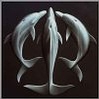 AQUADECO04